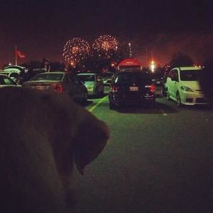 Meet your Posher, Tara